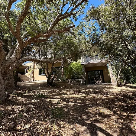 Les Marcelle Bed & Breakfast