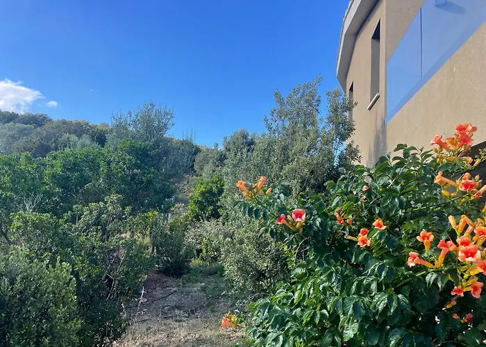 Les Marcelle Bed & Breakfast